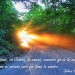 camino al cielo